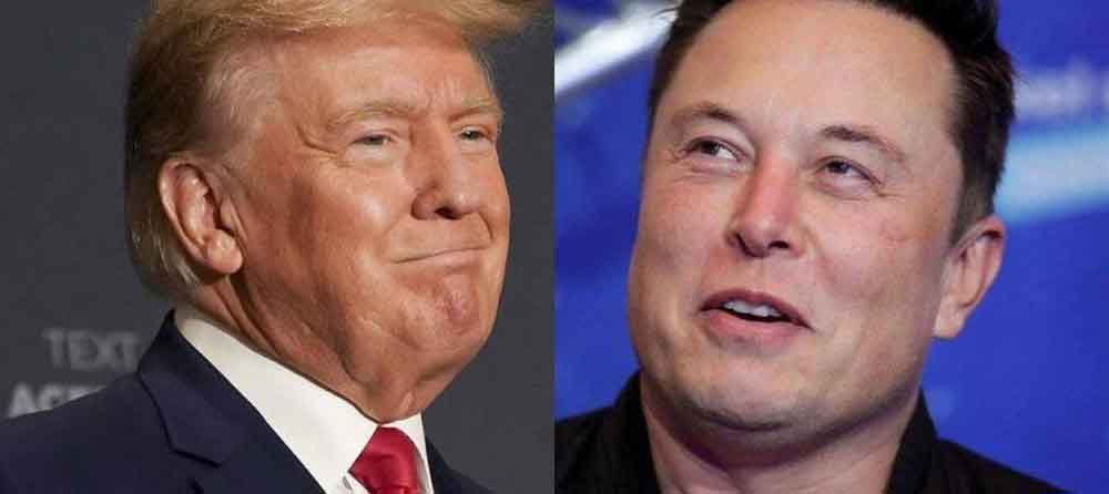 red latina stl, red latina periodico, trump, economia, elon, usa